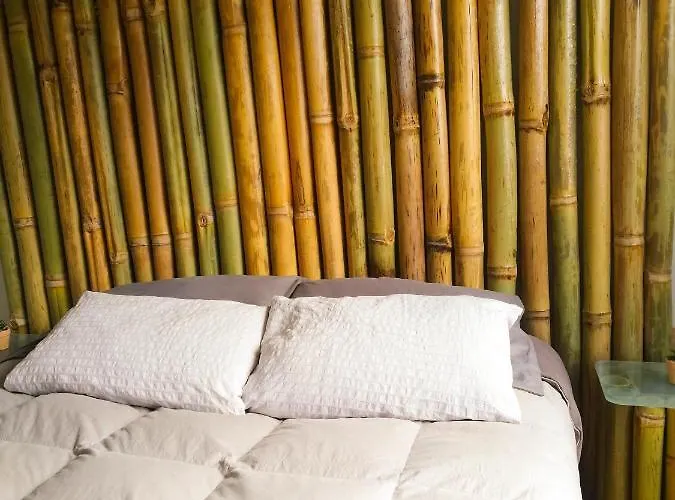The Bamboo * Cuzco