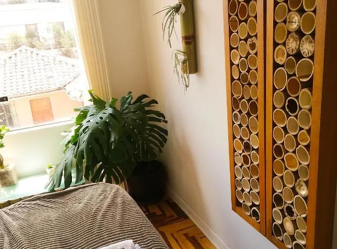 The Bamboo Bed & Breakfast *